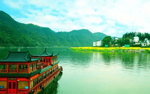 高效智慧全自动
